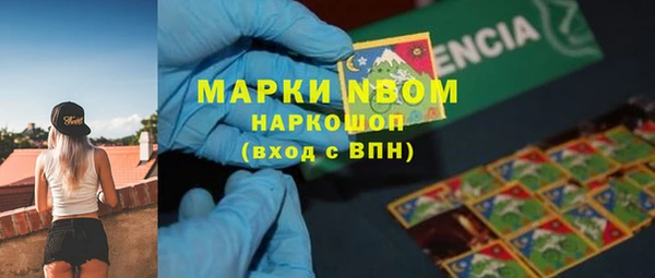 ПСИЛОЦИБИНОВЫЕ ГРИБЫ Вязьма