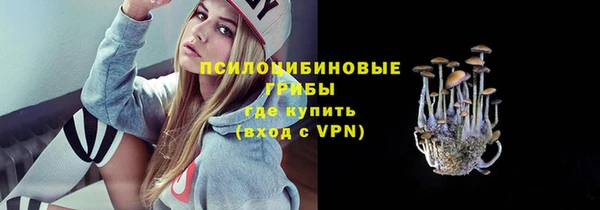ГАЛЛЮЦИНОГЕННЫЕ ГРИБЫ Вязники