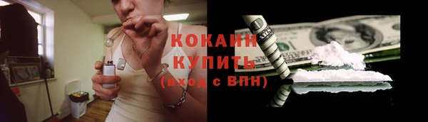 кокс Вяземский