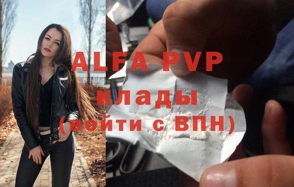 ПСИЛОЦИБИНОВЫЕ ГРИБЫ Вязьма