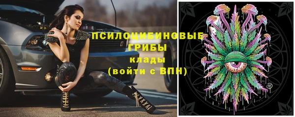 гашик Горнозаводск