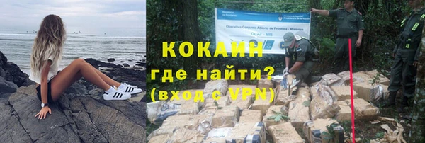 ГАЛЛЮЦИНОГЕННЫЕ ГРИБЫ Вязники