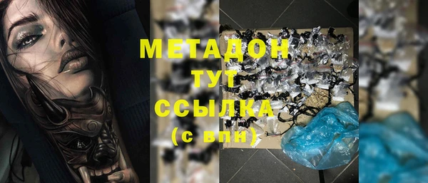 прущие грибы Верхний Тагил