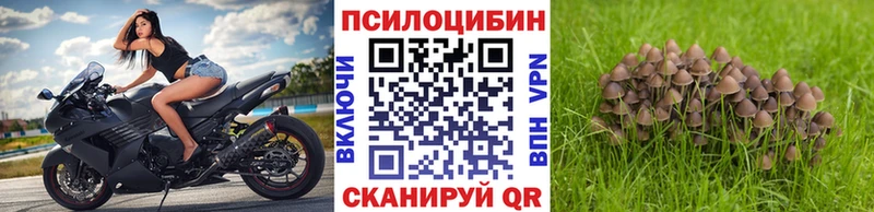 Галлюциногенные грибы мицелий  Змеиногорск 